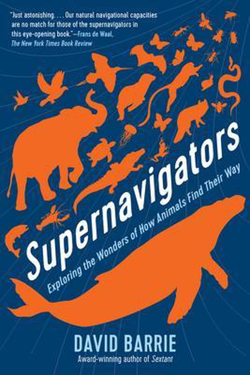 Supernavigators - David Barrie