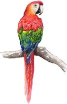 Muursticker papegaai - babykamer - kinderkamer - dieren in aquarel - wanddecoratie - 40 x 80 cm