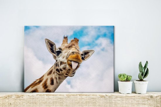 Bol Com Grappige Giraffe Steekt Zijn Tong Uit Canvas 40x30 Cm Klein Foto Print Op Canvas