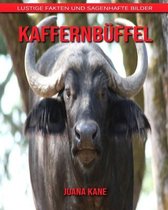 Kaffernbuffel