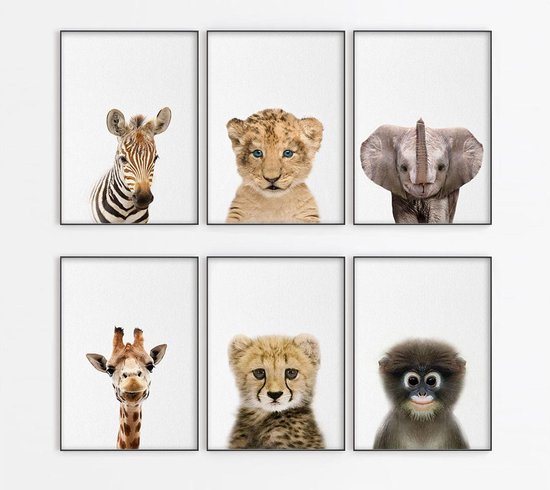 Affiche Chambre Bébé Animaux Safari - Décoration Chambre Enfant Animaux  Jungle - Cadeau Naissance Animaux Safari