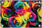 Tuinposter –Gekleurde Rozen– 40x30 Foto op Tuinposter (wanddecoratie voor buiten en binnen)