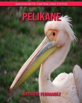 Pelikane