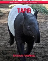 Tapir