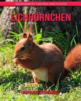 Eichhoernchen