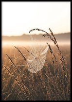 Poster Spinnenweb  - 30x40cm met Fotolijst – Natuur Poster – Ingelijst