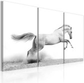 Schilderijen Op Canvas - Schilderij - Paard in galop 120x80 - Artgeist Schilderij