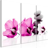 Schilderijen Op Canvas - Schilderij - Calm Mallow (3 Parts) Pink 120x80 - Artgeist Schilderij