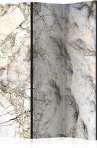 Kamerscherm - Scheidingswand - Vouwscherm - Marble Mystery [Room Dividers] 135x172 - Artgeist Vouwscherm