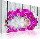 Schilderijen Op Canvas - Schilderij - harmonie: orchidee 60x40 - Artgeist Schilderij