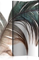 Kamerscherm - Scheidingswand - Vouwscherm - Beautiful Feather [Room Dividers] 135x172 - Artgeist Vouwscherm