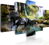 Schilderijen Op Canvas - Schilderij - Black horse on the background of paradise waterfall 100x50 - Artgeist Schilderij