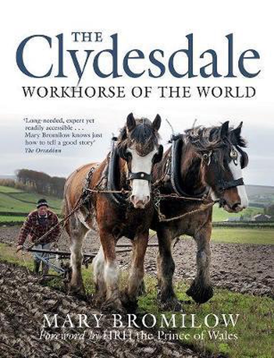 The Clydesdale - Mary Bromilow