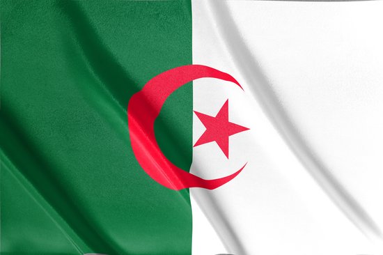 Acheter Drapeau Algérie - 7 tailles disponibles