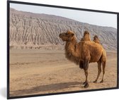 Fotolijst incl. Poster - Staande kameel in China - 120x80 cm - Posterlijst