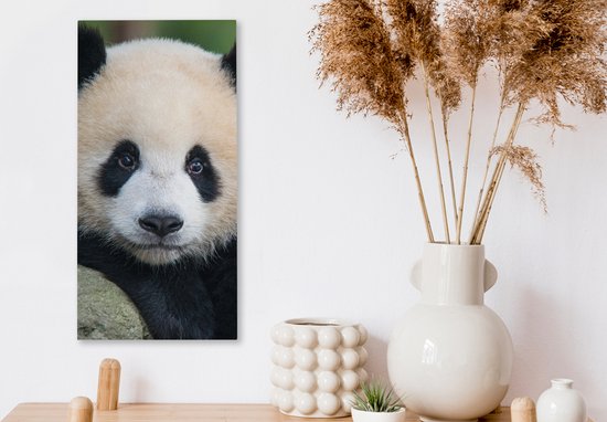 OneMillionCanvasses - Canvas - Panda - Steen - Natuur - Muurdecoratie - 20x40 cm - Canvas schilderij - Canvas doek