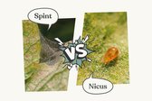 Spint bestrijden | 100% gifvrij | 5 kweekzakjes voor 5 planten | Insect heroes
