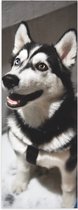 WallClassics - Poster Glanzend – Lieve Hond met Maan Oog - 30x90 cm Foto op Posterpapier met Glanzende Afwerking