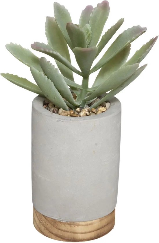Atmosphera vetplant kunstplant in pot van cement grijs 20 cm - Nepplanten