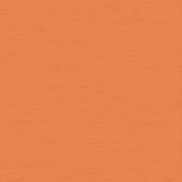 Duch Wallcoverings - Grace Greek key plain burnt orange - vliesbehang - 10m x 53cm - GR322508
