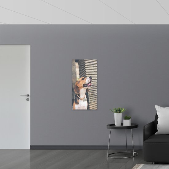 WallClassics - Poster Glossy – Chien Beagle - 50x100 cm Photo sur Papier Poster avec Finition Brillante