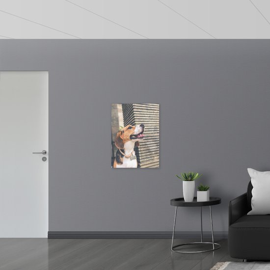 WallClassics - Poster Glossy – Chien Beagle - 60x80 cm Photo sur Papier Poster avec Finition Brillante