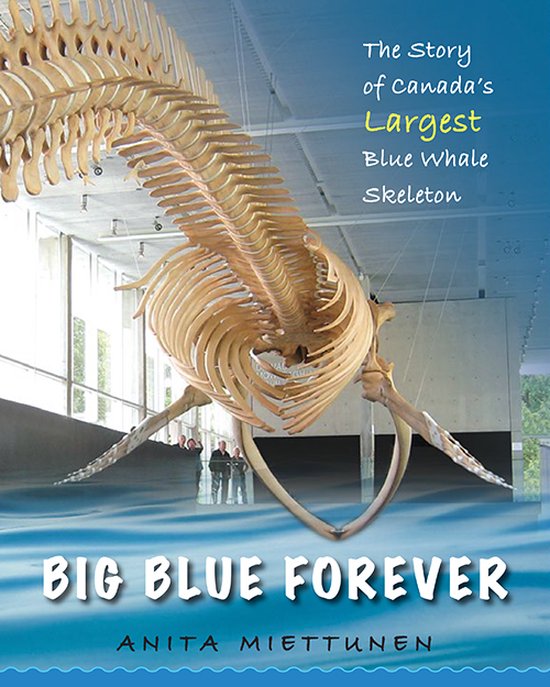 Big Blue Forever - cover