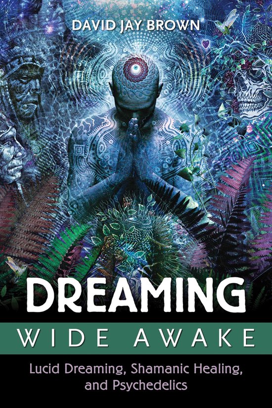 ISBN Dreaming Wide Awake, Anglais, Livre de poche, 416 pages
