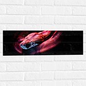 WallClassics - Muursticker - Rode Slang met Zwarte Achtergrond - 60x20 cm Foto op Muursticker