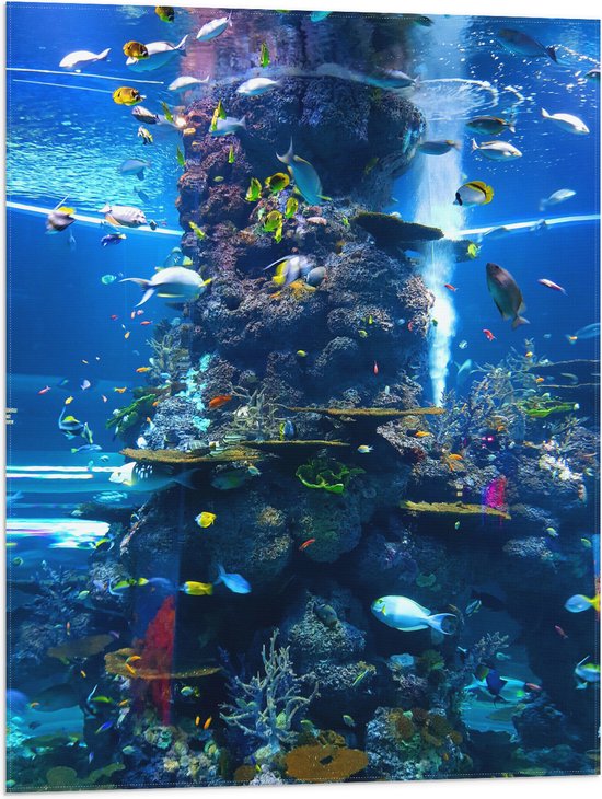 WallClassics - Vlag - Prachtig Aquarium met mooie Vissen - 60x80 cm Foto op Polyester Vlag