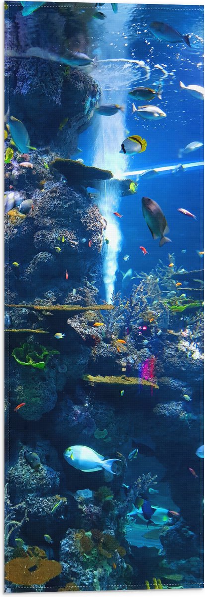 Vlag - Prachtig Aquarium met mooie Vissen - 20x60 cm Foto op Polyester Vlag