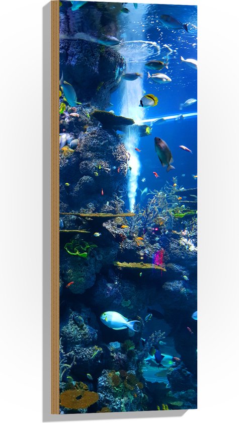 WallClassics - Hout - Prachtig Aquarium met mooie Vissen - 30x90 cm - 12 mm dik - Foto op Hout (Met Ophangsysteem)