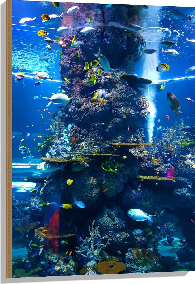 Hout - Prachtig Aquarium met mooie Vissen - 60x90 cm - 12 mm dik - Foto op Hout (Met Ophangsysteem)