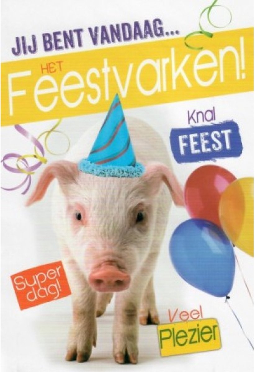 Jij bent vandaag… HET FEESTVARKEN! Maak er een knalfeest en een superdag van! Een feestelijke kaart met slingers en ballonnen. Leuk om zo te geven of om bij een cadeau te voegen. Een dubbele wenskaart inclusief envelop en in folie verpakt.