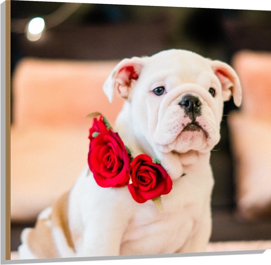 WallClassics - Hout - Witte Bulldog met Rode Rozen - 100x100 cm - 12 mm dik - Foto op Hout (Met Ophangsysteem)