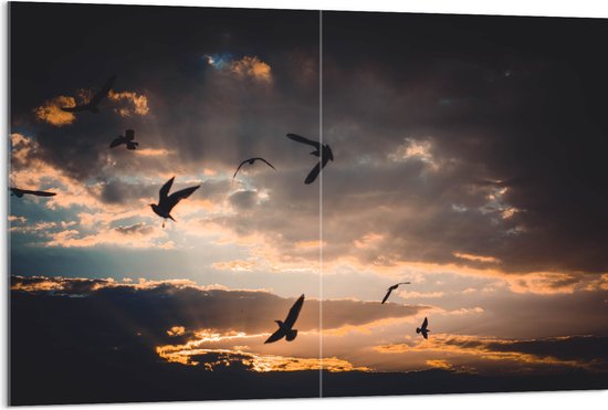 WallClassics - Acrylglas - Vogels in de Lucht bij Zonsondergang - 120x80 cm Foto op Acrylglas (Wanddecoratie op Acrylaat)