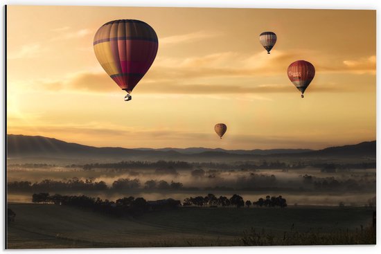 WallClassics - Dibond - Luchtballonen Zwevend boven Open Veld - 60x40 cm Foto op Aluminium (Wanddecoratie van metaal)