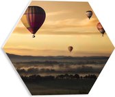 WallClassics - PVC Schuimplaat Hexagon  - Luchtballonen Zwevend boven Open Veld - 30x26.1 cm Foto op Hexagon (Met Ophangsysteem)