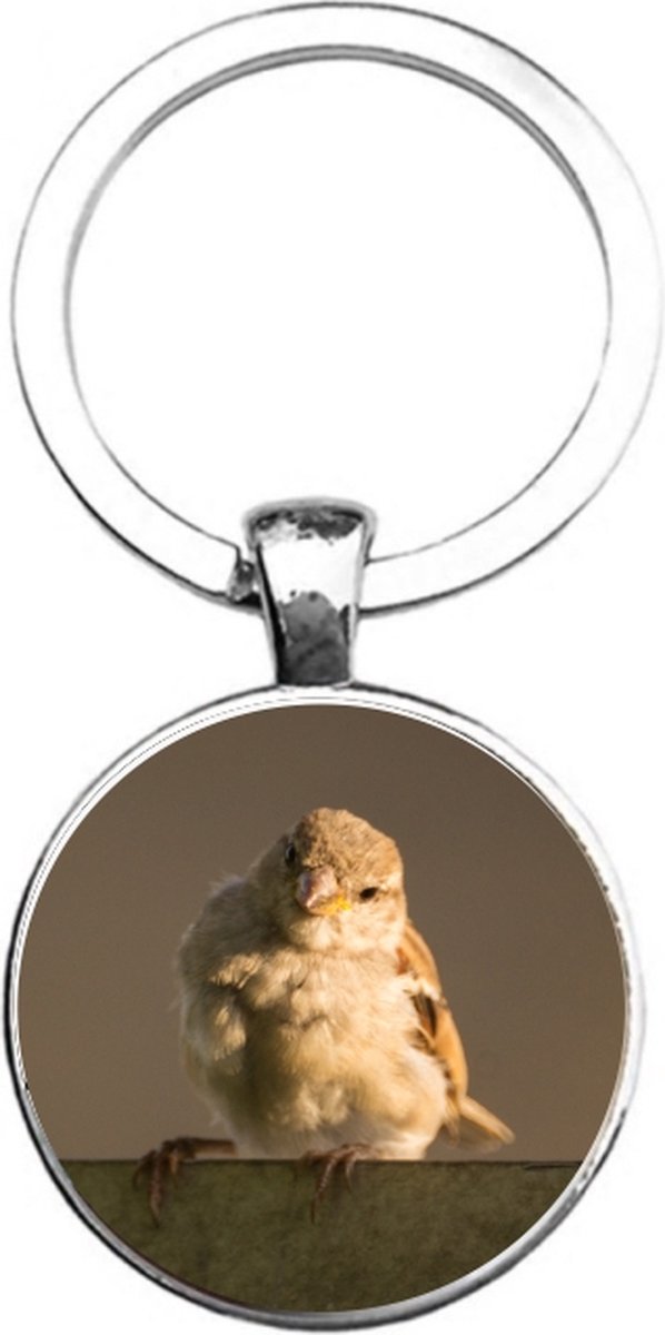 Sleutelhanger Glas - Vogel
