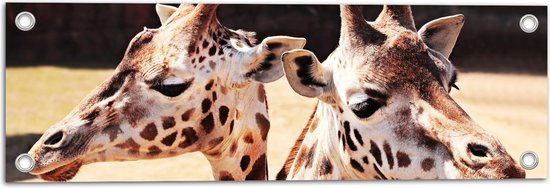 WallClassics - Tuinposter – Leuke Giraffen - 60x20 cm Foto op Tuinposter  (wanddecoratie voor buiten en binnen)
