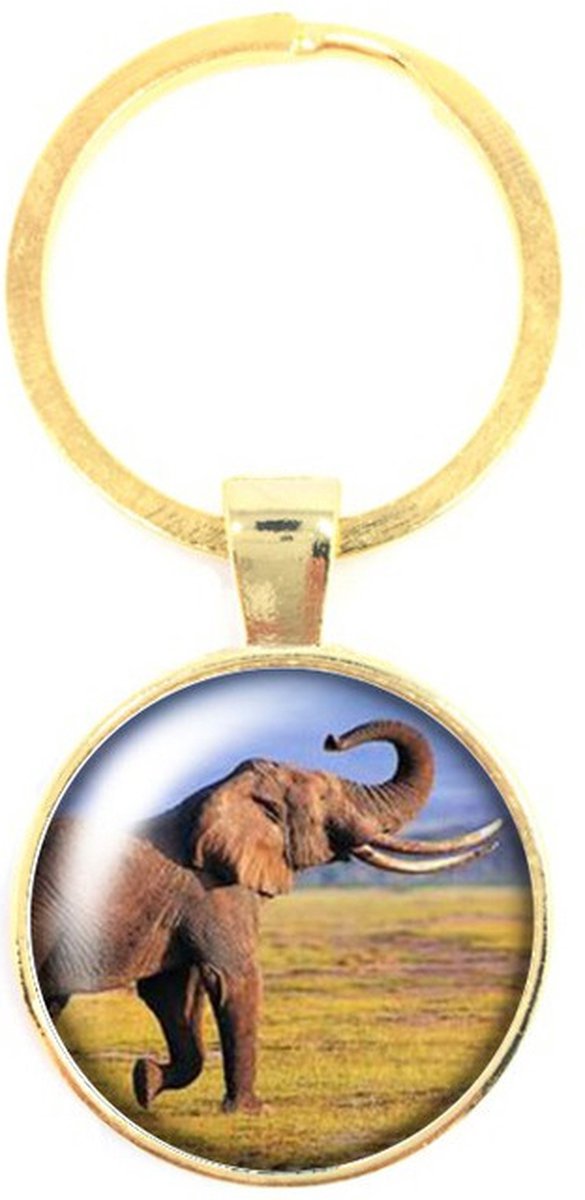 Sleutelhanger Glas - Olifant