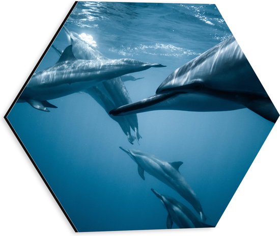 WallClassics - Dibond Hexagon - Groep Dolfijnen in de Zee - 30x26.1 cm Foto op Hexagon (Met Ophangsysteem)