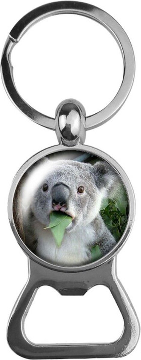 Bieropener Glas - Koala