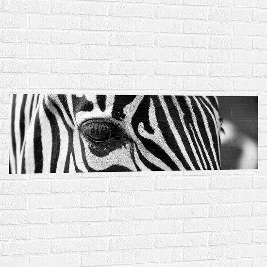 WallClassics - Muursticker - Voorhoofd van een Zebra - 120x40 cm Foto op Muursticker