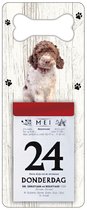 Scheurkalender 2024 Hond: Lagotto Romagnolo