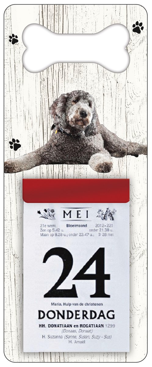 Scheurkalender 2027 Hond: Labradoodle