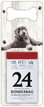 Scheurkalender 2024 Hond: Labradoodle