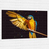 WallClassics - Muursticker - Ara Papegaai met Geel Gouden Vleugels - 120x80 cm Foto op Muursticker