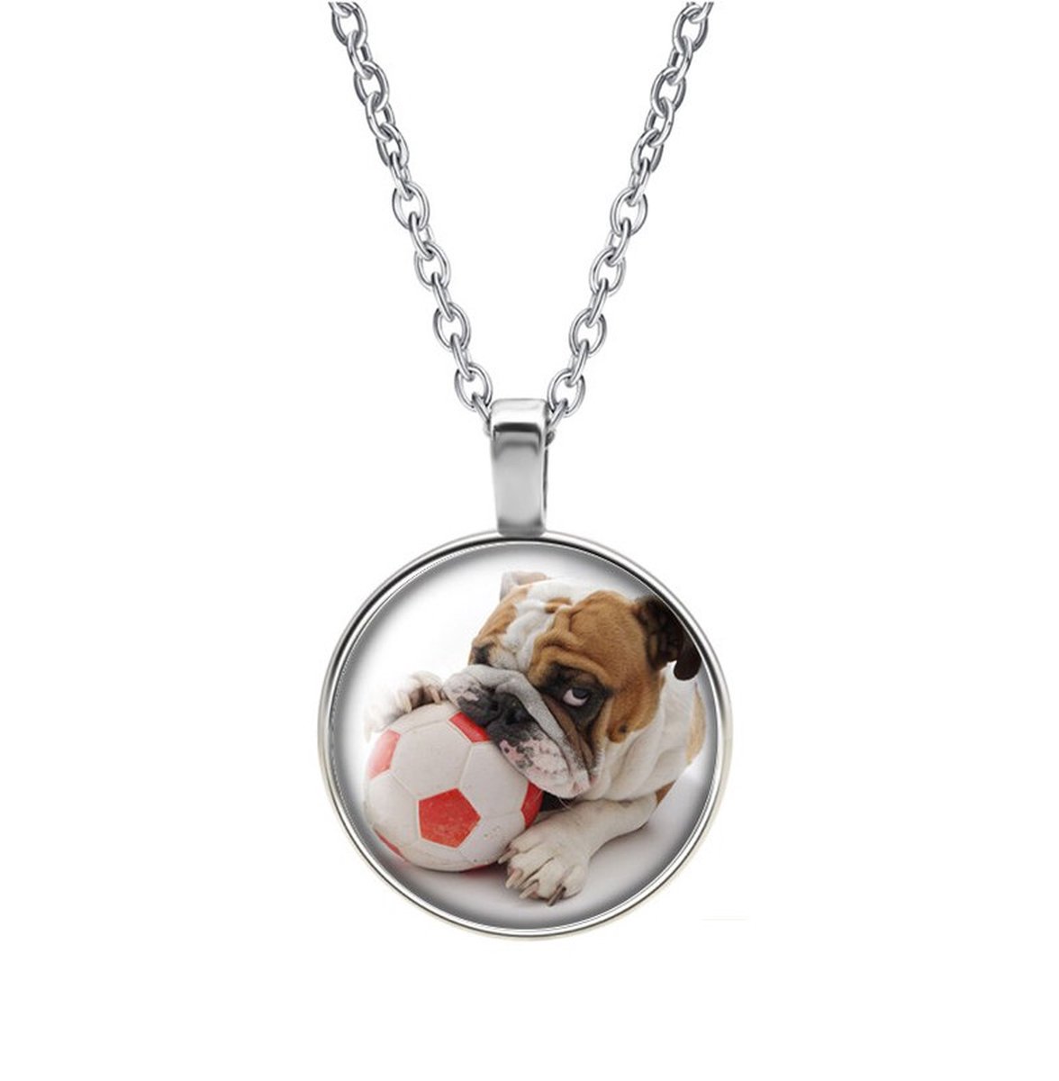 Ketting Glas - Hond