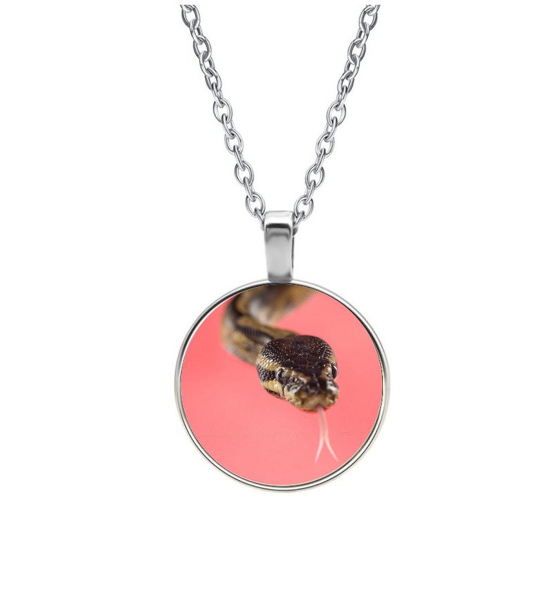 Ketting Glas - Slang